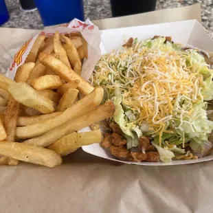 Chicken gyro and fries