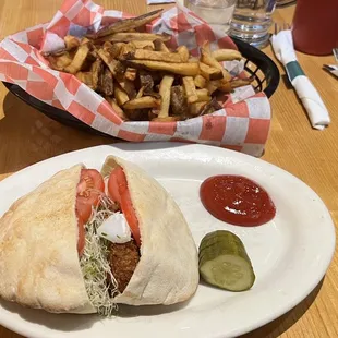Falafel and Homemade Fries