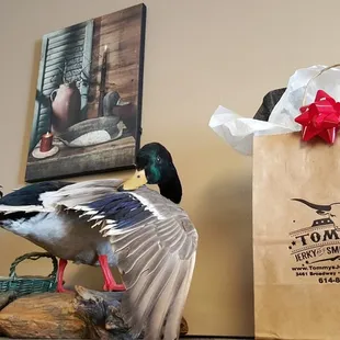 a mallard and a mallard