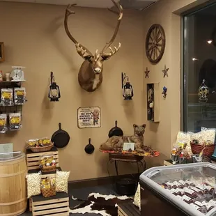 the inside of the store