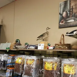 a mallard and a duck