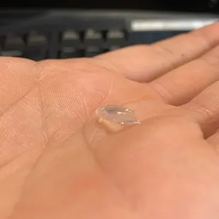 Glass shard I pulled out of pizza.