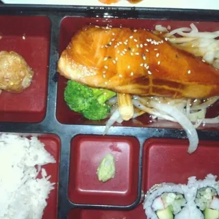 Salmon