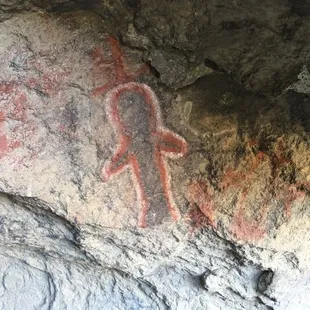 Bear outlined in red and white.
