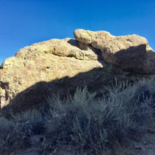 Rabbit rock