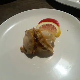 Scallop