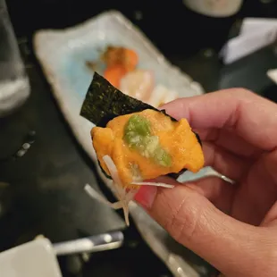 Hokkaido uni