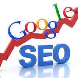 United-States-Search-Engine-Optimization