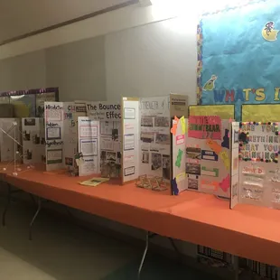 More science projects 2020