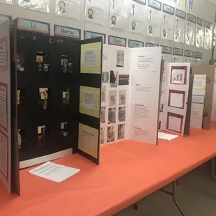 133 5th graders submitted science projects.