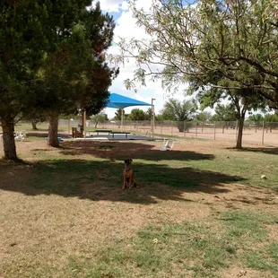 Nice park, but no one to play with