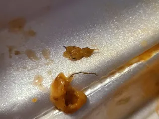 Fabulous Grill #2 - Carson