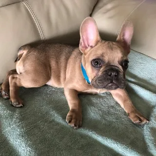 Doug S.