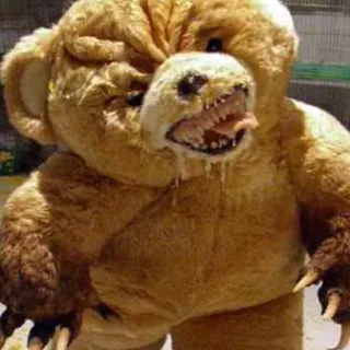 Bear F.