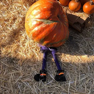 a pumpkin on a pile of hay