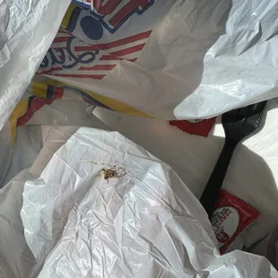 Cockroach in food and terrible customer service