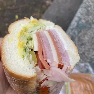 a person holding a sandwich