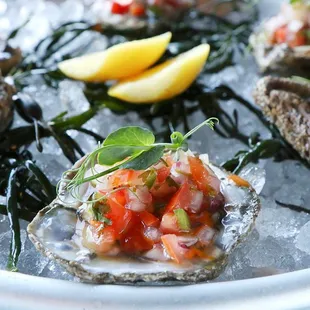 Fresh Oysters