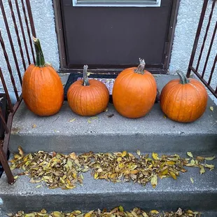 Our pumpkin haul