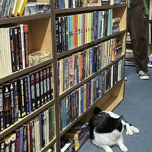 also another!! here you could also get a glimpse of a tiny bit of the books.