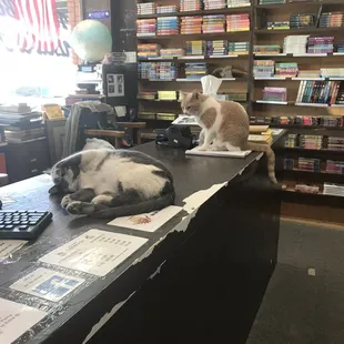 Babies and books