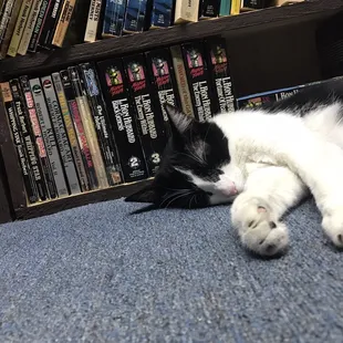 Got tired of reading