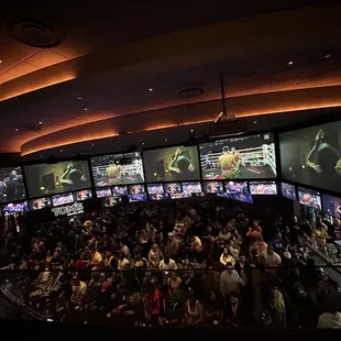 a large crowd of people watching the show