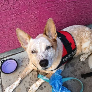 Aspen enjoy relaxing VIBES