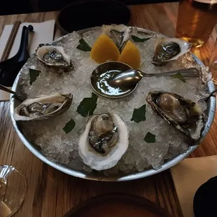Oysters