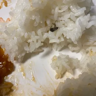 Steamed Rice