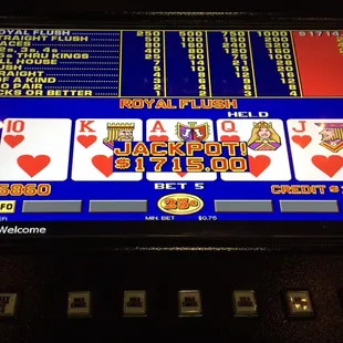 My 2nd Royal at Palms