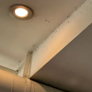 These are the bugs on the ceiling over the booth next to us .