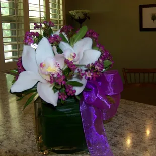 Mother's Day Orchids