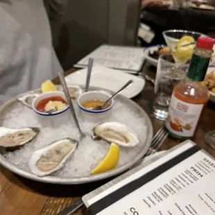 Oysters