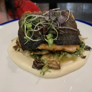 Salmon