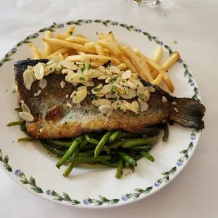 Trout