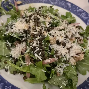 Lentil Salad
