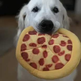 Best Pizza in Parker. Hands down