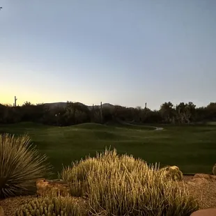 This was a view as the sun was sitting from our table, looking out on the golf course.