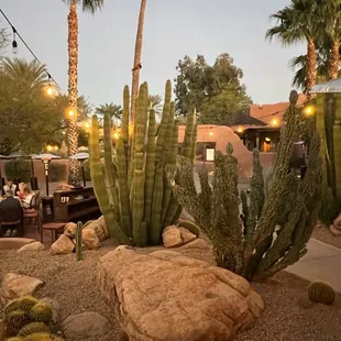 outside