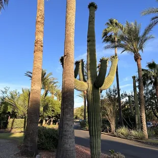 Outside