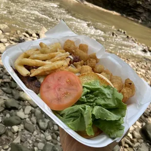 Fries on the burger