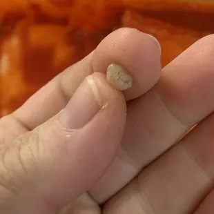Inside my burritos