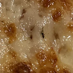 Was about to take a bite into it when I saw this black spec and when I looked closer I seen that it was a bag