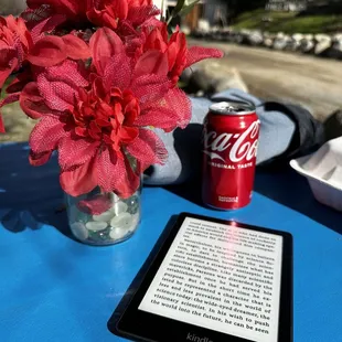 a book and a can of coke