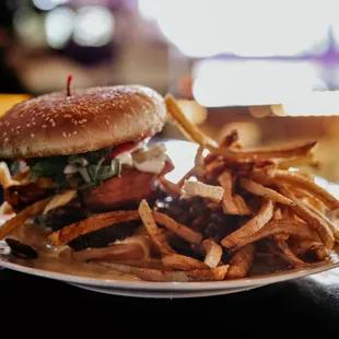 food, burger, burgers