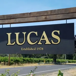 23K Gold Leaf hand lettering  on double sided painted steel