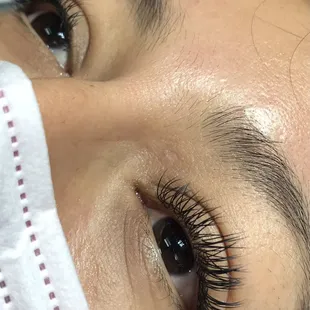 Classic lashes
