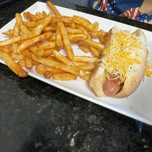 Hot dog and fries