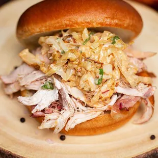 a pulled pork sandwich on a bun
